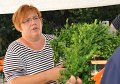 Binden am Donnerstag 034